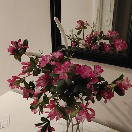 Bed and Breakfast Le Maor 3*