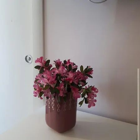 Le Maor 3* Γκαέτα